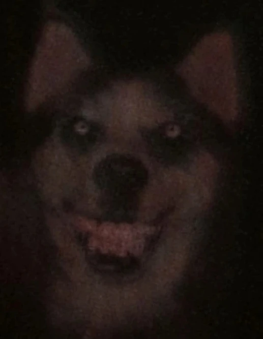 A grinning face looms in the background
