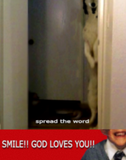 A dog