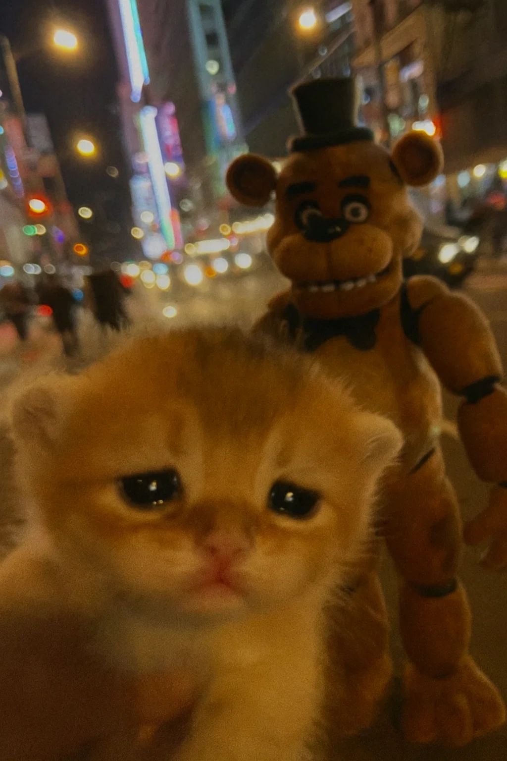 Special Guest Kitty 8