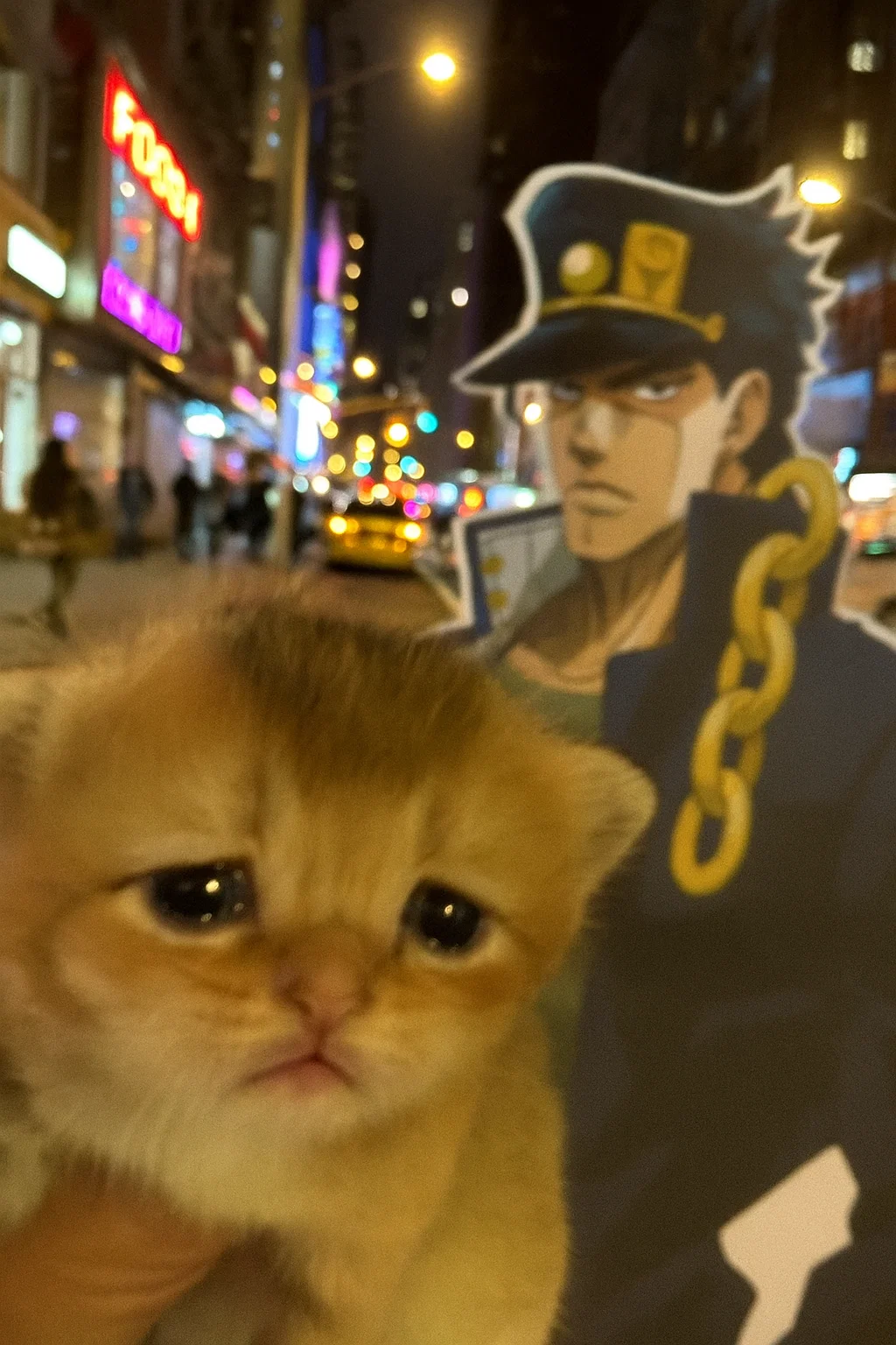 Special Guest Kitty 5