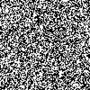 A hidden image