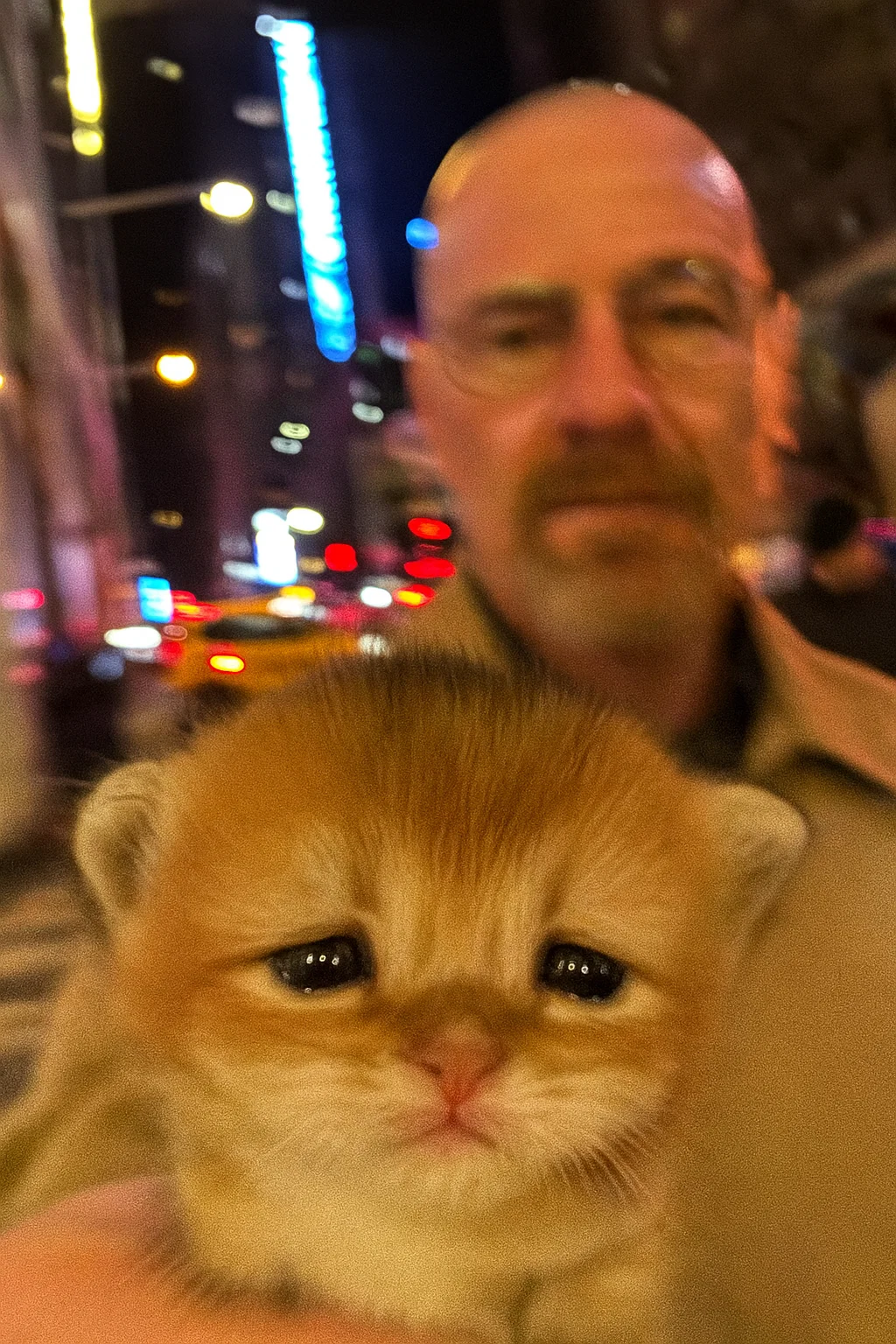 Special Guest Kitty 7